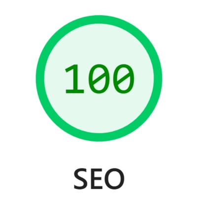 Perfect 100 SEO score on PageSpeed Insights